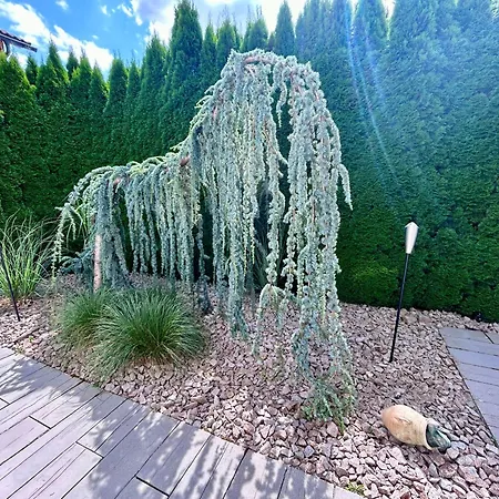 Hideaway * Waldachtal