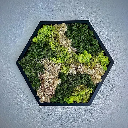 Apartment Hideaway *