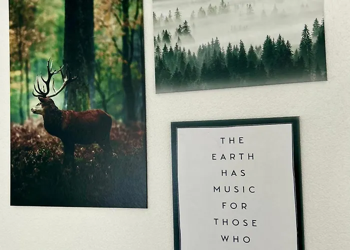 Apartman Hideaway Waldachtal