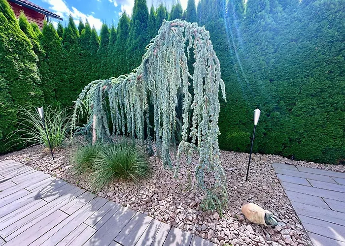 Hideaway * ヴァルダハタール