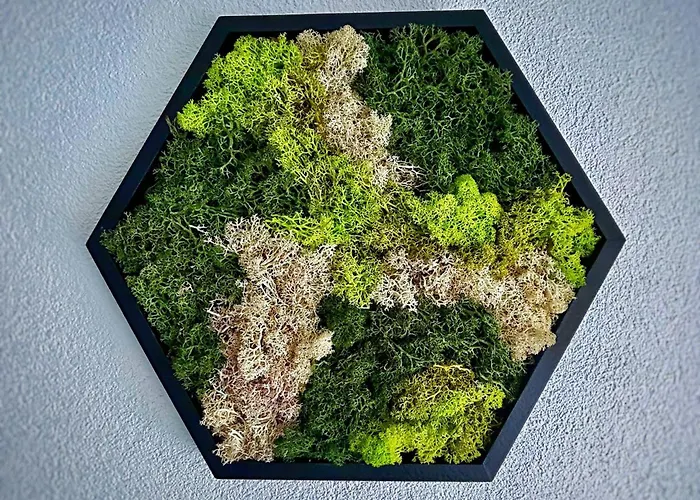 アパート Hideaway *