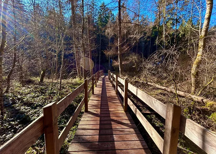 Apartman Hideaway Waldachtal